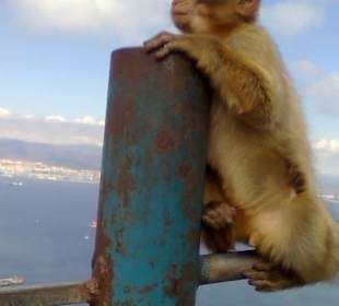 Taras widokowy ten wyżej