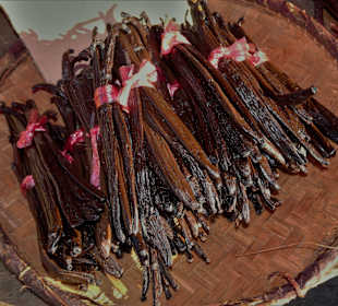 Vanille auf dem Wochenmarkt von Saint-Paul