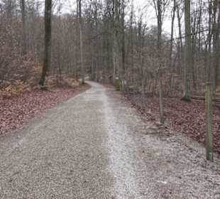 Wildpark Eichert