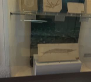 Jura-Museum
