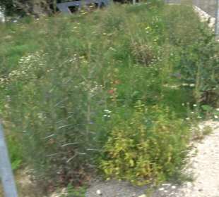Biosphärenzentrum Schwäbische Alb Auingen