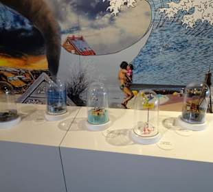 Exponate im Wattenmeer Besucherzentrum