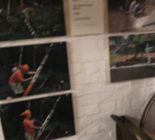 Spicy's Gewürzmuseum