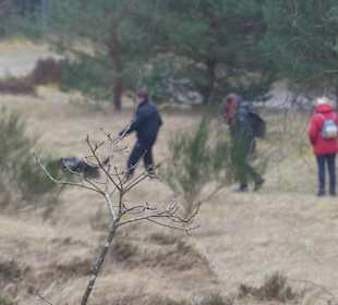 Wandern Binz auf Rügen