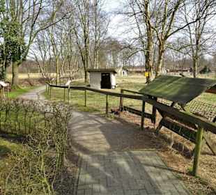 Der Rundgang über das Außengelände des Moormuseums
