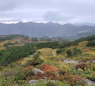 Wandern Donnersbachwald