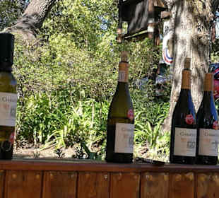 Weinprobe
