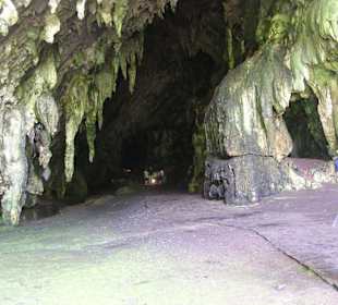 Cueva del Guacharo