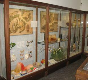 Naturhistorisches Museum