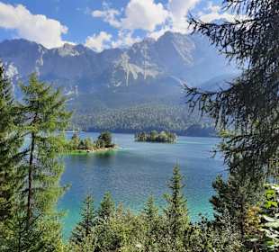 Wandern Kochelbergalm - Aulealm