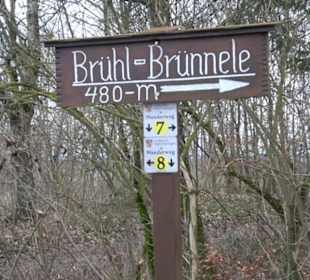 Brühl-Brünnele Ehestetten