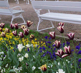 Bad Kissingen im Mai 2010