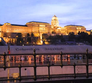Das Schloß am Abend vom Donaucorso gesehen