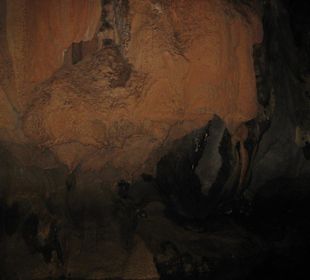 Fledermäuse- Bats- an den Wänden