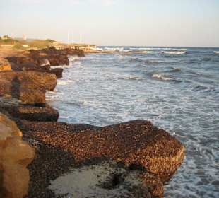 Besagter "Naturstrand" mit Algen