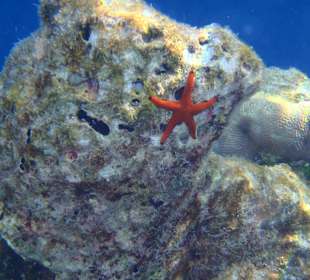 Gut versteckt und wunderschön