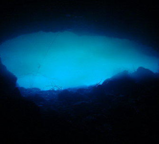 Bild vom Card Partner