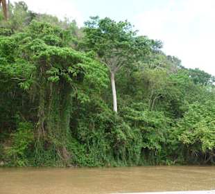 Trucksafari mit Andy