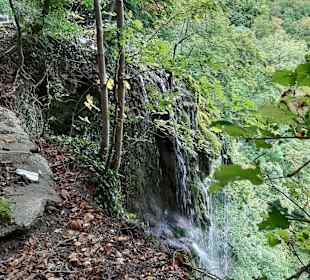 Premiumwanderweg Hohenwittlingensteig