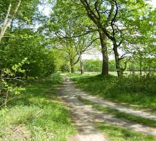 Naturschutzgebiet Boberger Niederung