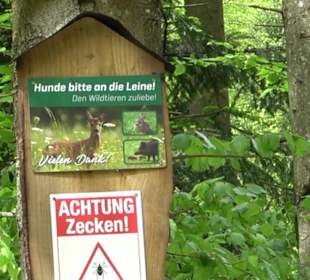 Wandertour Feuchtgebiet Schönbuch