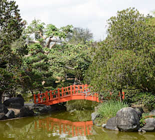 Japanischer Garten mit Brücke