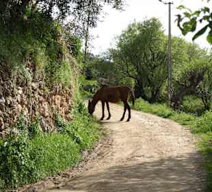 Wanderung ins Hinterland