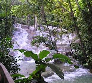 Dunn`s River Falls