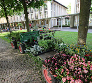 Neue Bepflanzung nach den Eisheiligen