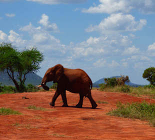 Tsavo East