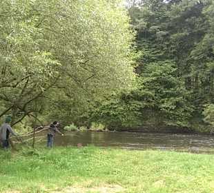 Idylle pur im Nationalpark Thayatal
