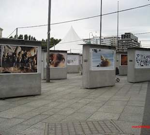 Fjordhafen, Bilderausstellung