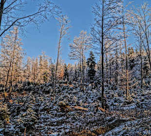 Kössen Hagertal - Klausenberg