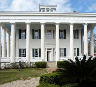 Kulisse von: Fackeln im Sturm