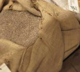 Spicy's Gewürzmuseum