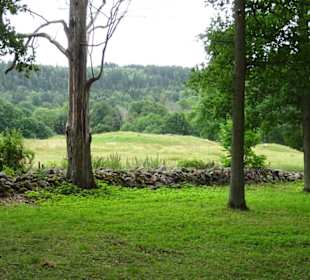 Kata Gard Ausgrabungen in Varnehm