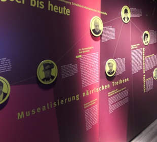 Fastnachtsmuseum Narrenschopf