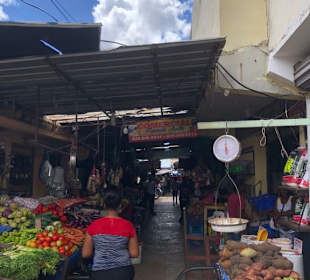 Punta Cana auf Deutsch - einfach schöne Ausflüge