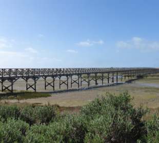 Die Holzbrücke über die Lagune Ria Formosa