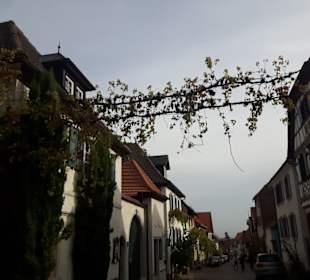 Rhodt unter Rietburg