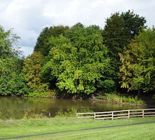Spaziergang durch den Mühlenkamp-Park