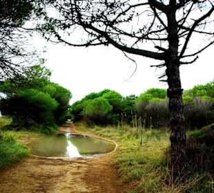 Ende September 2010 Inspirationen