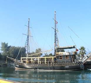 Tour Delphine Island