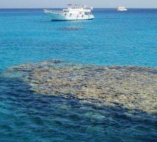 Rafy koralowe w drodze na Giftun