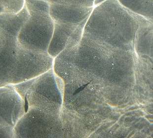 Das Meer am Paradise Beach