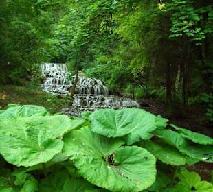 Bükk Nationalpark