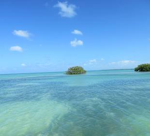 Wir besuchen unterwegs eine schöne Lagune