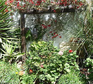 Üppige Blütenpracht