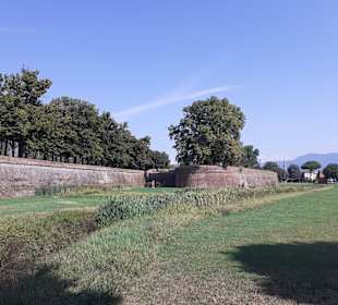 Stadtmauer Lucca