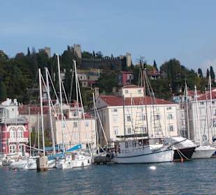Jachthafen von Piran